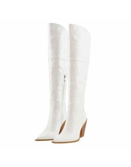Pointed Toe Embroidery  Chunky Heel Western Boots